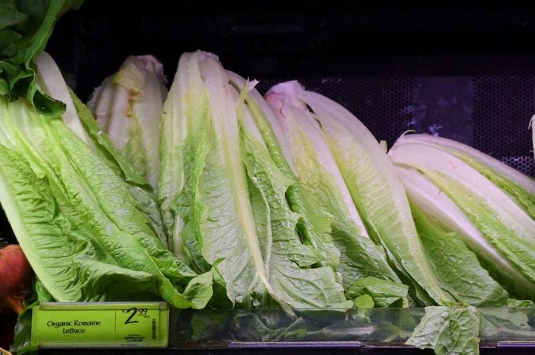 Lettuce