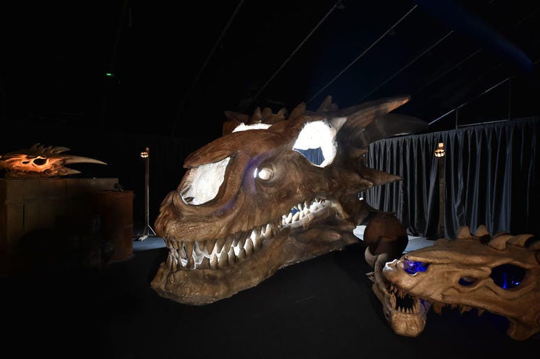 Giant Dragon Skull Giant Dragon Skull