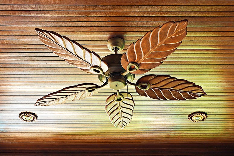 Ceiling Fan