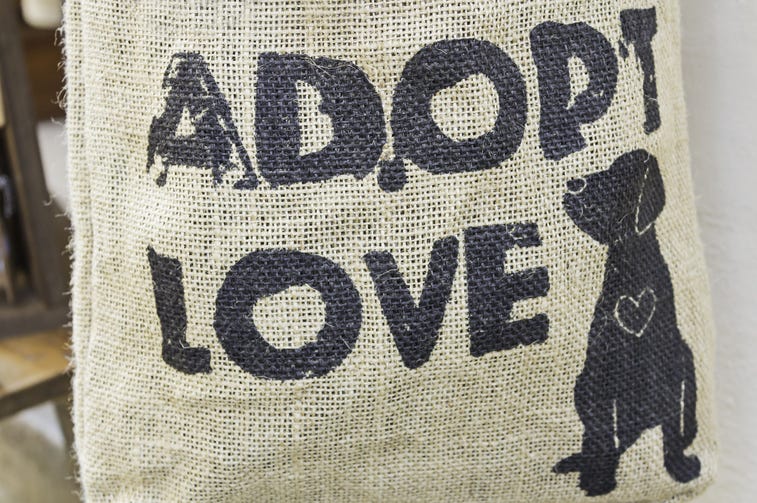 pet adoption Pet adoption