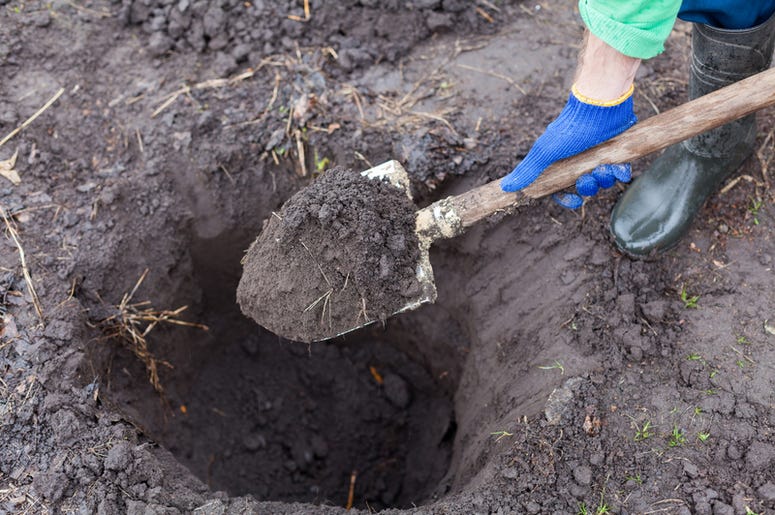 Dig Dig