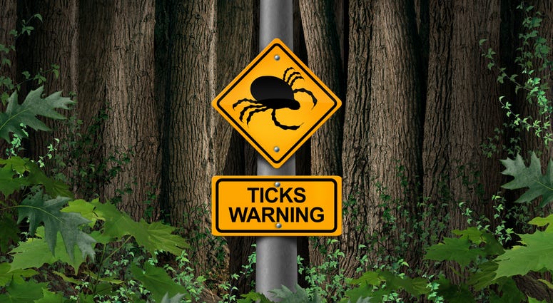 Ticks