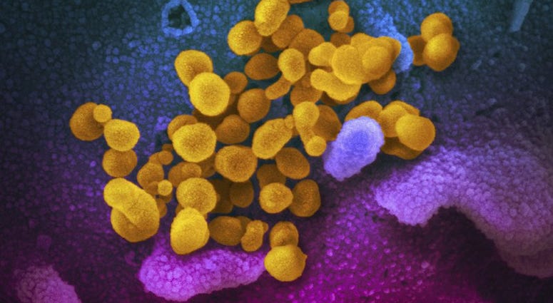 Coronavirus