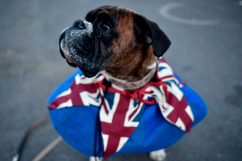 Prince Harry, Meghan Markle Royal Wedding Prince Harry, Meghan Markle Royal Wedding