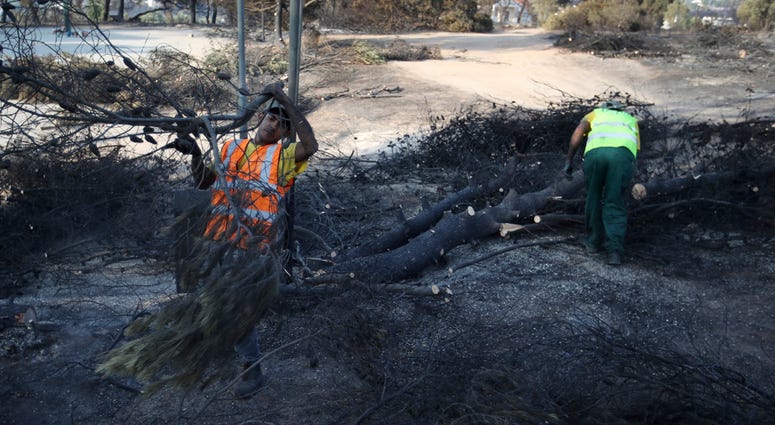 Workers cut the burned trees in Rafina, east of Athens, Wednesday, July 25, 2018. greece wildfires