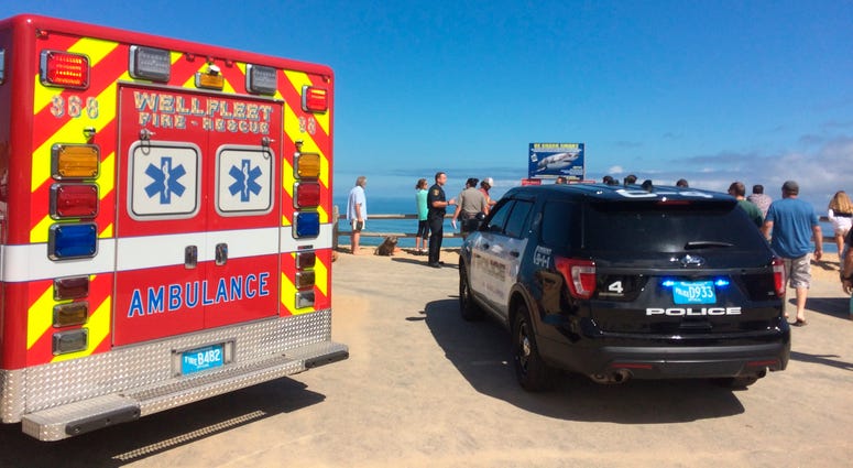 Emergency personnel respond to Newcomb Hollow Beach in Wellfleet, Mass, on Saturday, Sept. 15, 2018 Shark Attack at Cape Cod