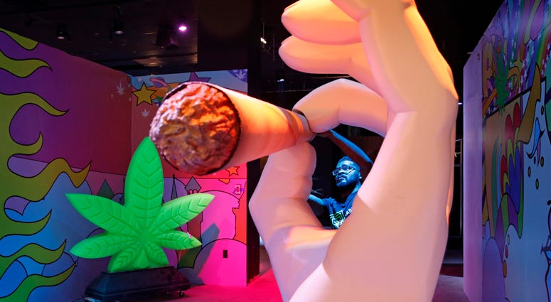In this Tuesday, Sept. 18, 2018 photo, Gabe Williams works on a exhibit at the Cannabition cannabis museum in Las Vegas.
