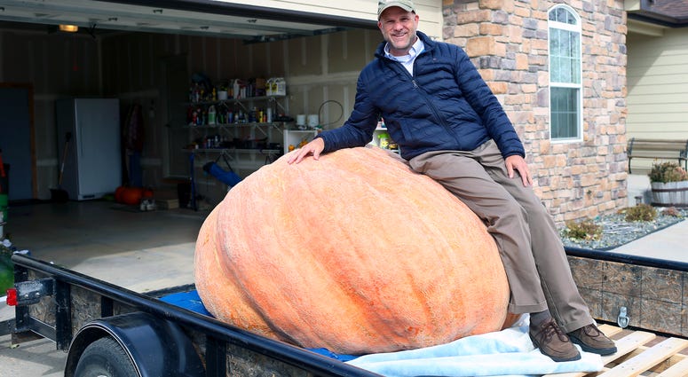 Pumpkin Pumpkin