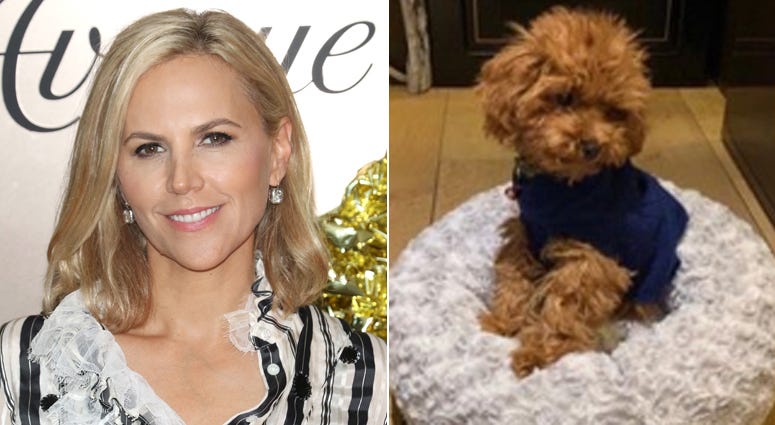 Designer Tory Burch and her missing dog, Chicken. Tory Burch and her missing dog