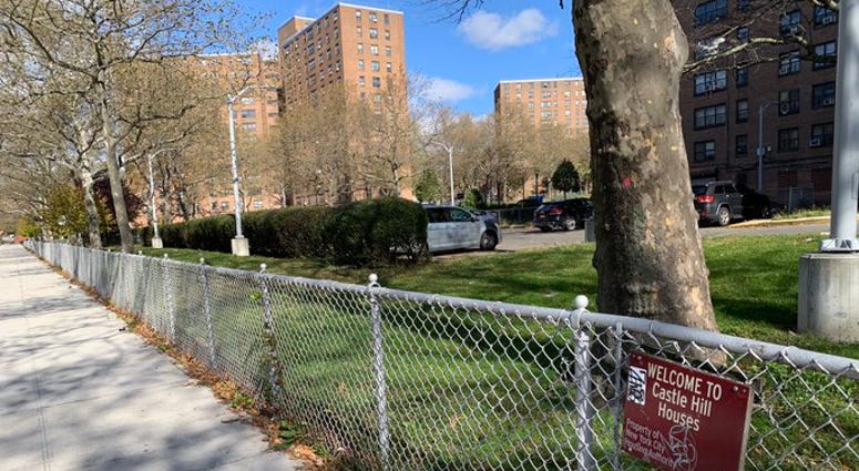The Castle Hill Houses in the Bronx seen on Nov. 8, 2019. Castle Hill Houses - NYCHA