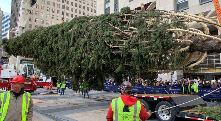 2019 Rockefeller Christmas tree 2019 Rockefeller Christmas tree