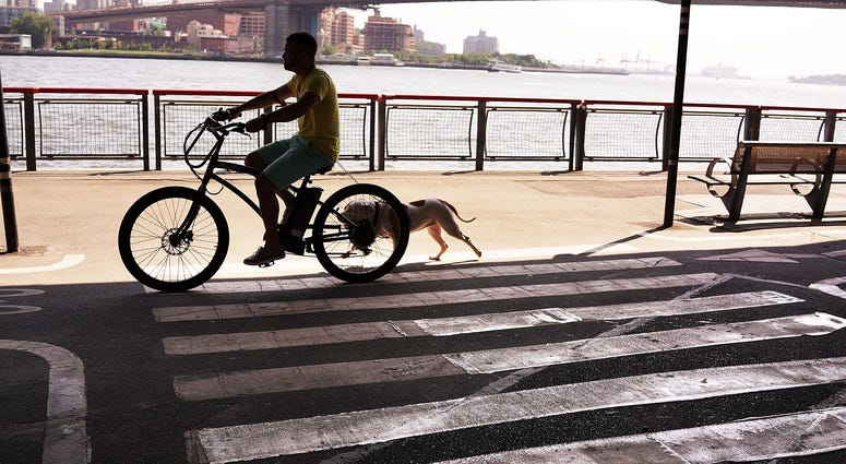 East River Park, Manhattan East River Park, Manhattan
