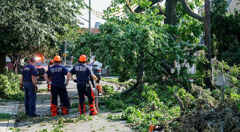 Crews remove trees in New York City. Isaias Queens