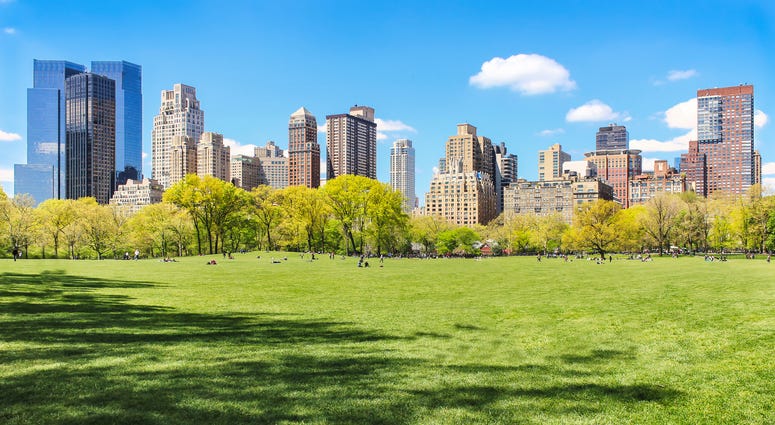 Sunny Central Park Sunny Central Park