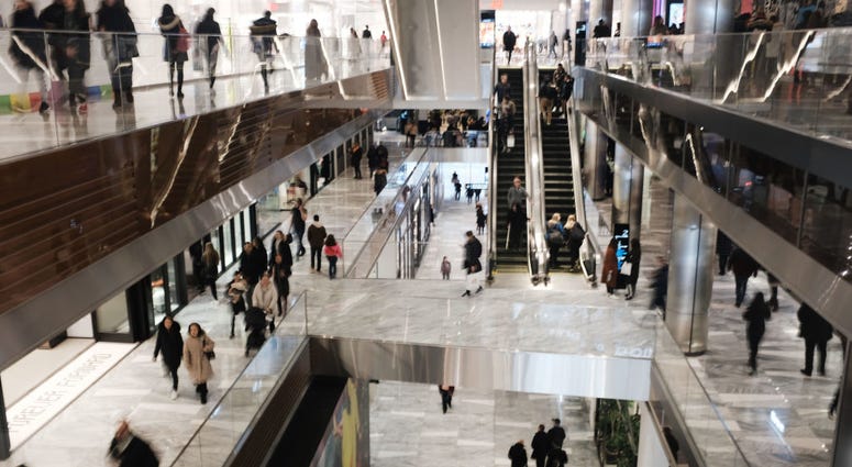 Visitors walk through the newly opened luxury shopping mall at the Hudson Yards development on the West Side of Midtown Manhattan on March 18, 2019 in New York City. Hudson Yards