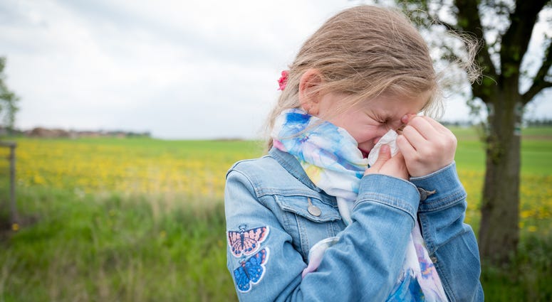 Girl blowing her nose suffering from pollen allergies. Allergies