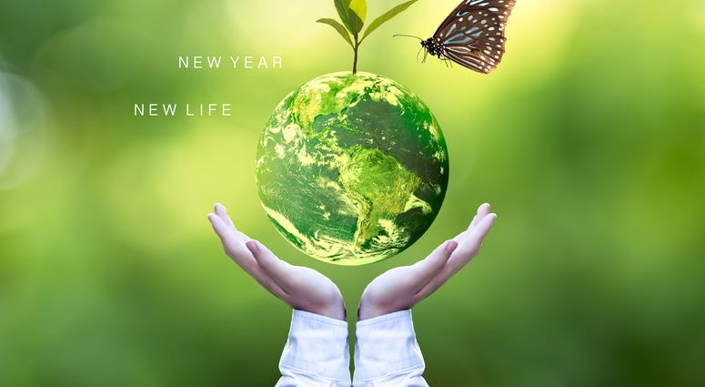 Sustainable 2020