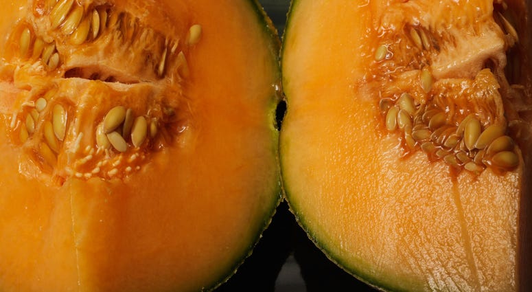Cantaloupe Cantaloupe