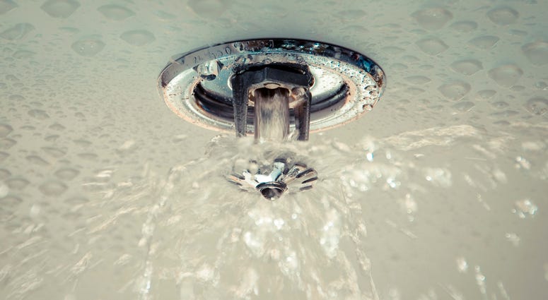 Fire sprinkler