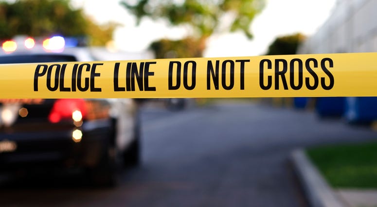 Police Line