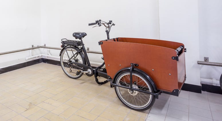Electric cargo bike