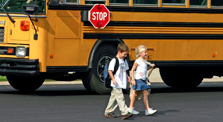 School bus School bus