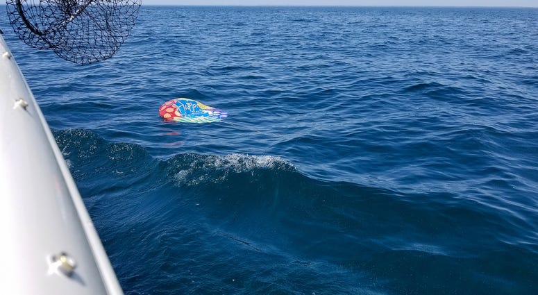 Mylar balloon floating in ocean. Balloon in water