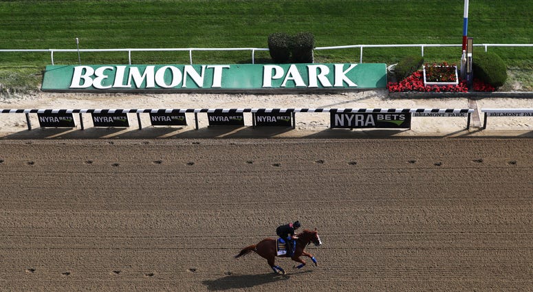 Triple Crown and Belmont Stakes contender Justify trains with Humberto Gomez up prior to the 150th running of the Belmont Stakes at Belmont Park on June 8, 2018 in Elmont, New York. Belmont Park