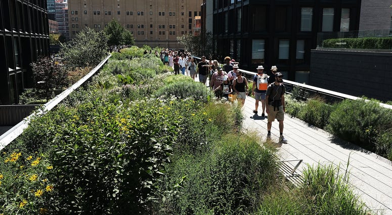 Tourists and locals alike walk along the High Line, an old rail line that was converted to an elevated park and greenway on a warm July day on on July 9, 2018 in New York City High Line