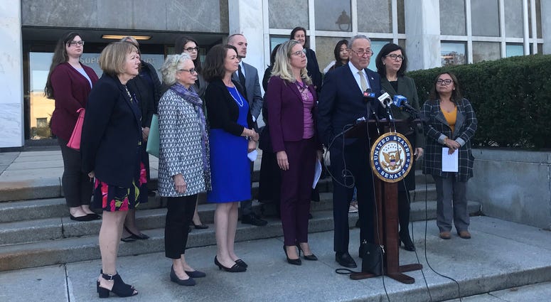Sen. Chuck Schumer calls for federal funding for organizations working to battle domestic violence Schumer Domestic Violence Presser