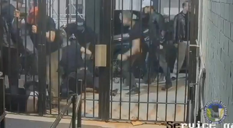 Proud Boys Brawl Proud Boys Brawl