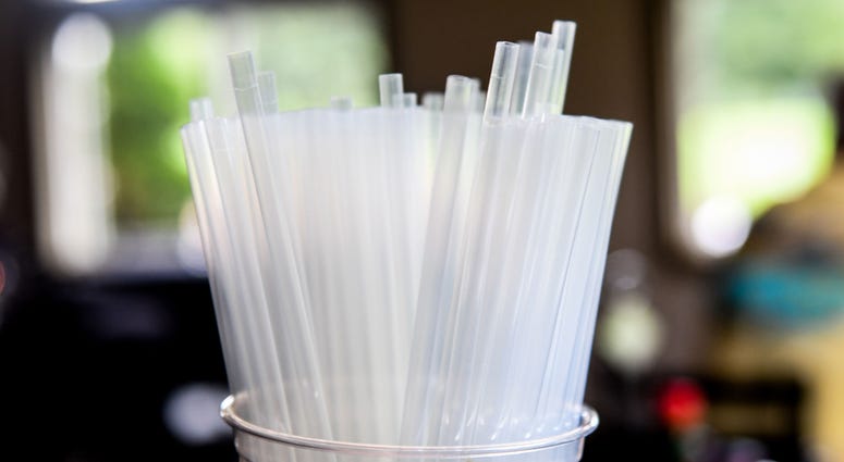 A cup full of biodegradable straws sit on the bar at Tall Tales Brewery in Parsonsburg, Maryland. Plastic Straws