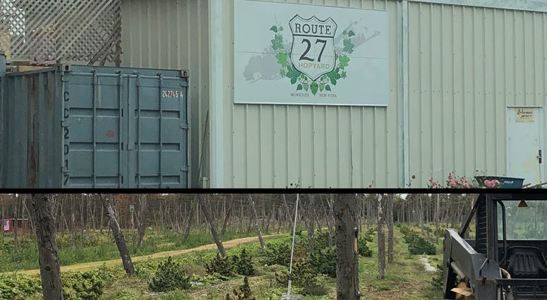 The Route 27 Hemp Farm in Moriches. Route 27 Hemp Farm