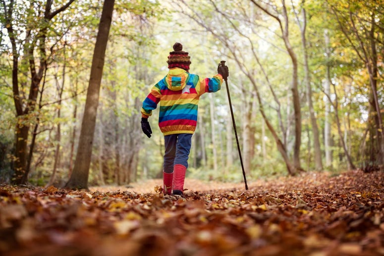 A kid using a hike pole in a park. Kids Hiking