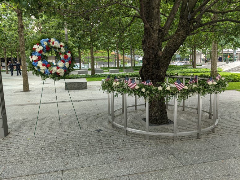 The Survivor Tree. 9/11 Memorial