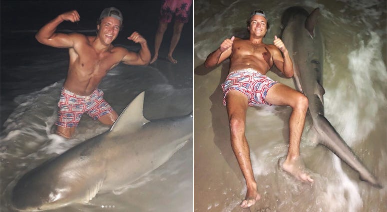 TJ Minutillo poses with a bull shark he caught off Lido Beach TJ Minutillo