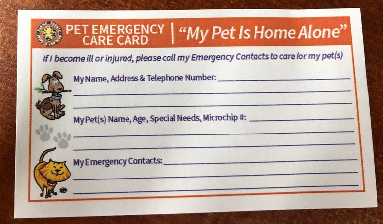 Pet ID cards