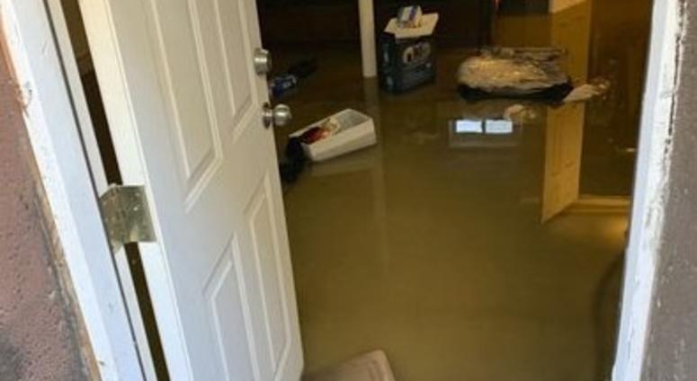 In this photo provided by Cynthia McKenzie is sewage backup that flooded her home, Saturday, Nov. 30, 2019, in Jamaica, Queens Sewer waste Queens
