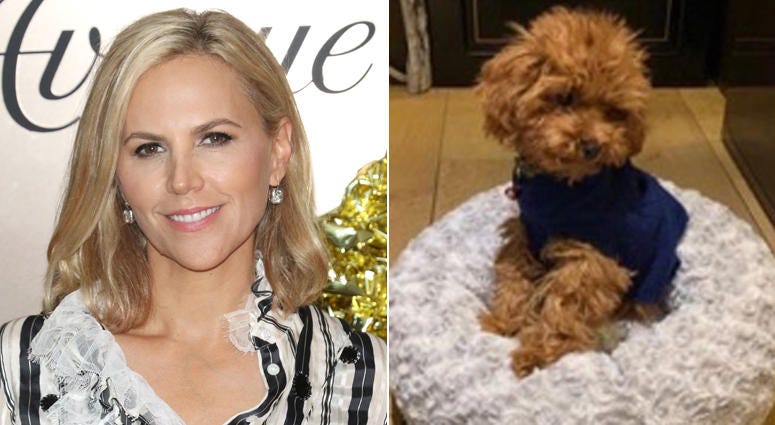 Designer Tory Burch and her missing dog, Chicken. Tory Burch and her missing dog