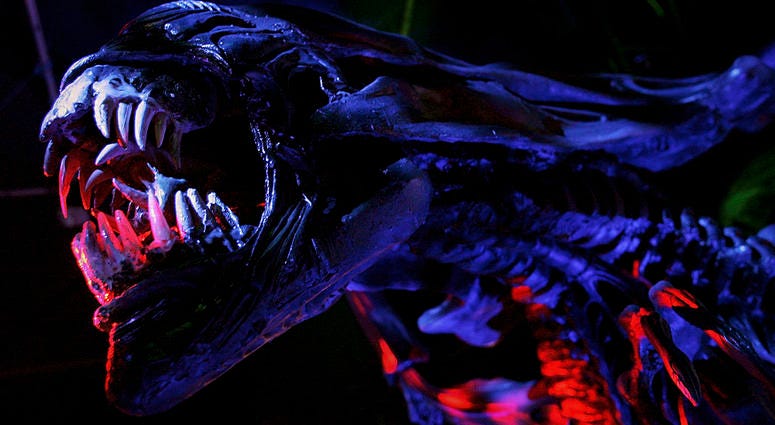 A model of the creature from the Alien film series is seen during a photocall at the Science Museum on October 13, 2005 in London. Alien
