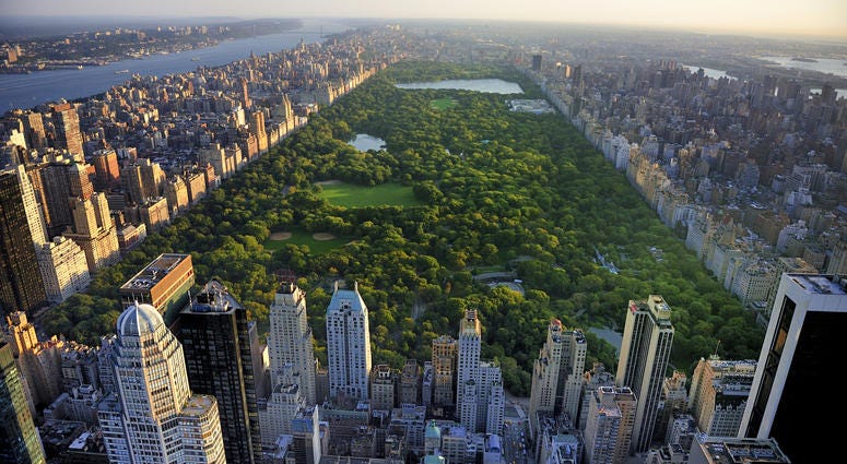 NYC's Central Park