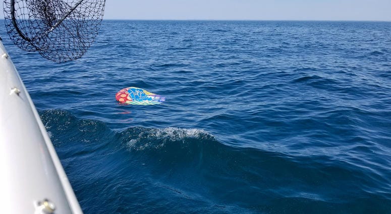 Mylar balloon floating in ocean. Balloon in water