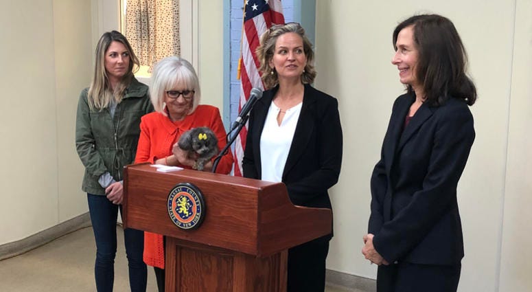 Nassau County Executive Laura Curran announces new pet ID cards for emergency situations. Laura Curran Pet ID Cards
