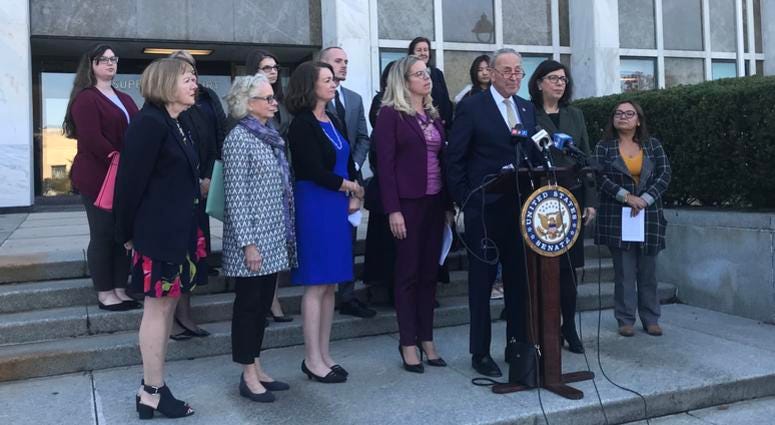 Sen. Chuck Schumer calls for federal funding for organizations working to battle domestic violence Schumer Domestic Violence Presser