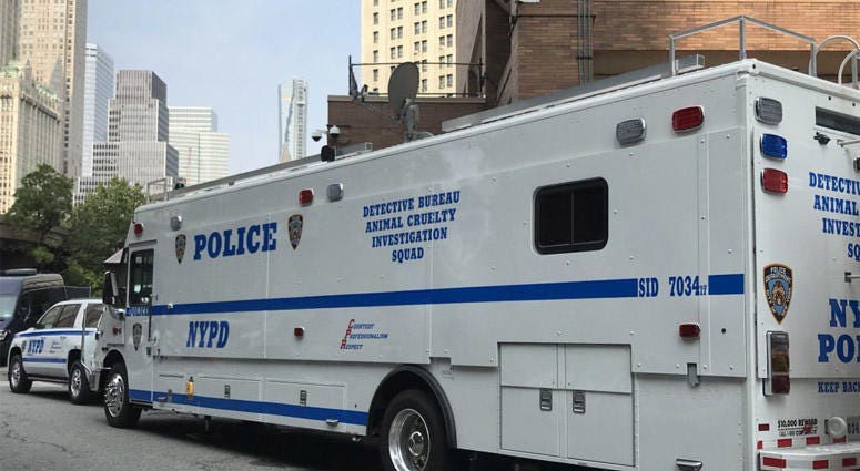 NYPD Animal Cruelty Investigation Squad Vehicle NYPD Animal Cruelty Investigation Squad Vehicle