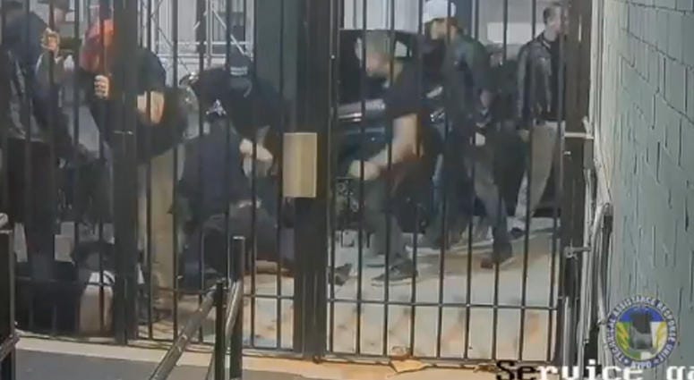 Proud Boys Brawl Proud Boys Brawl
