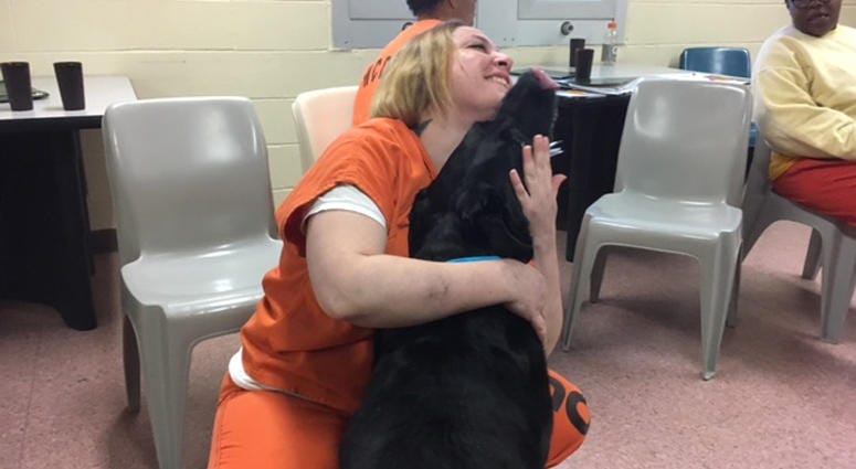 Westchester County Women Inmates And Dogs Westchester County Women Inmates And Dogs