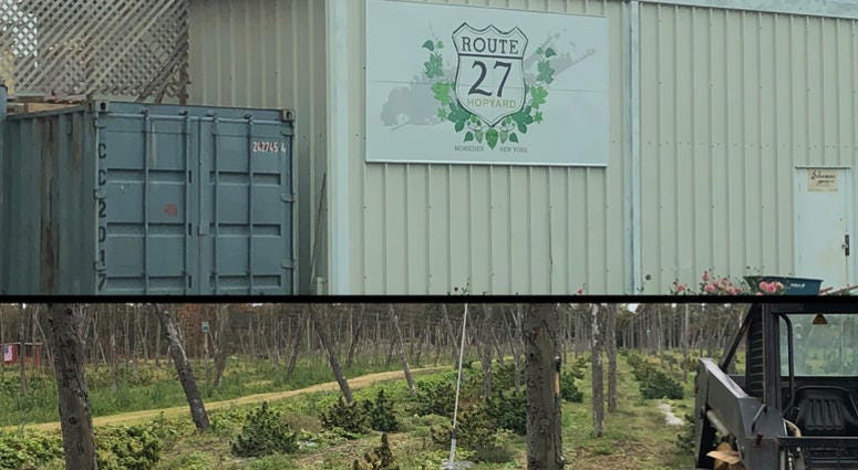 The Route 27 Hemp Farm in Moriches. Route 27 Hemp Farm