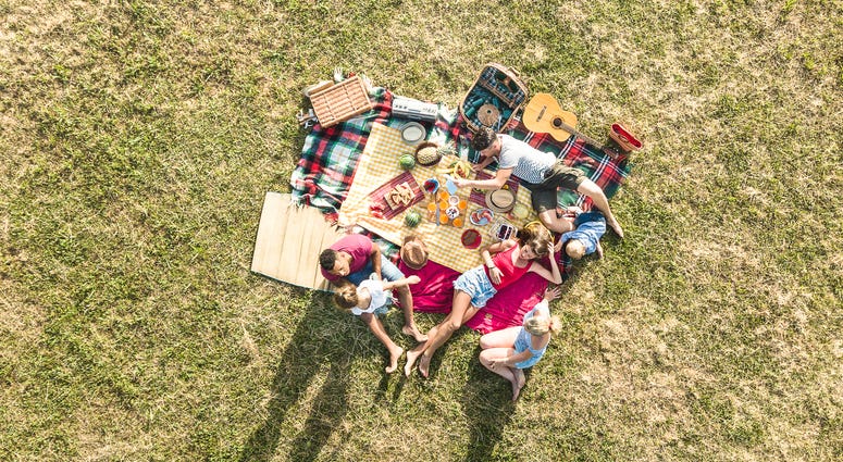 A picnic in the summer sun. Summer