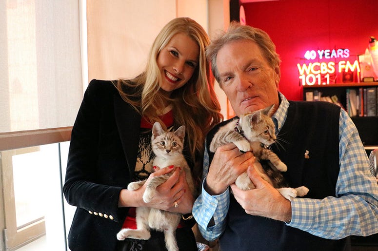 Beth Stern with Kittens